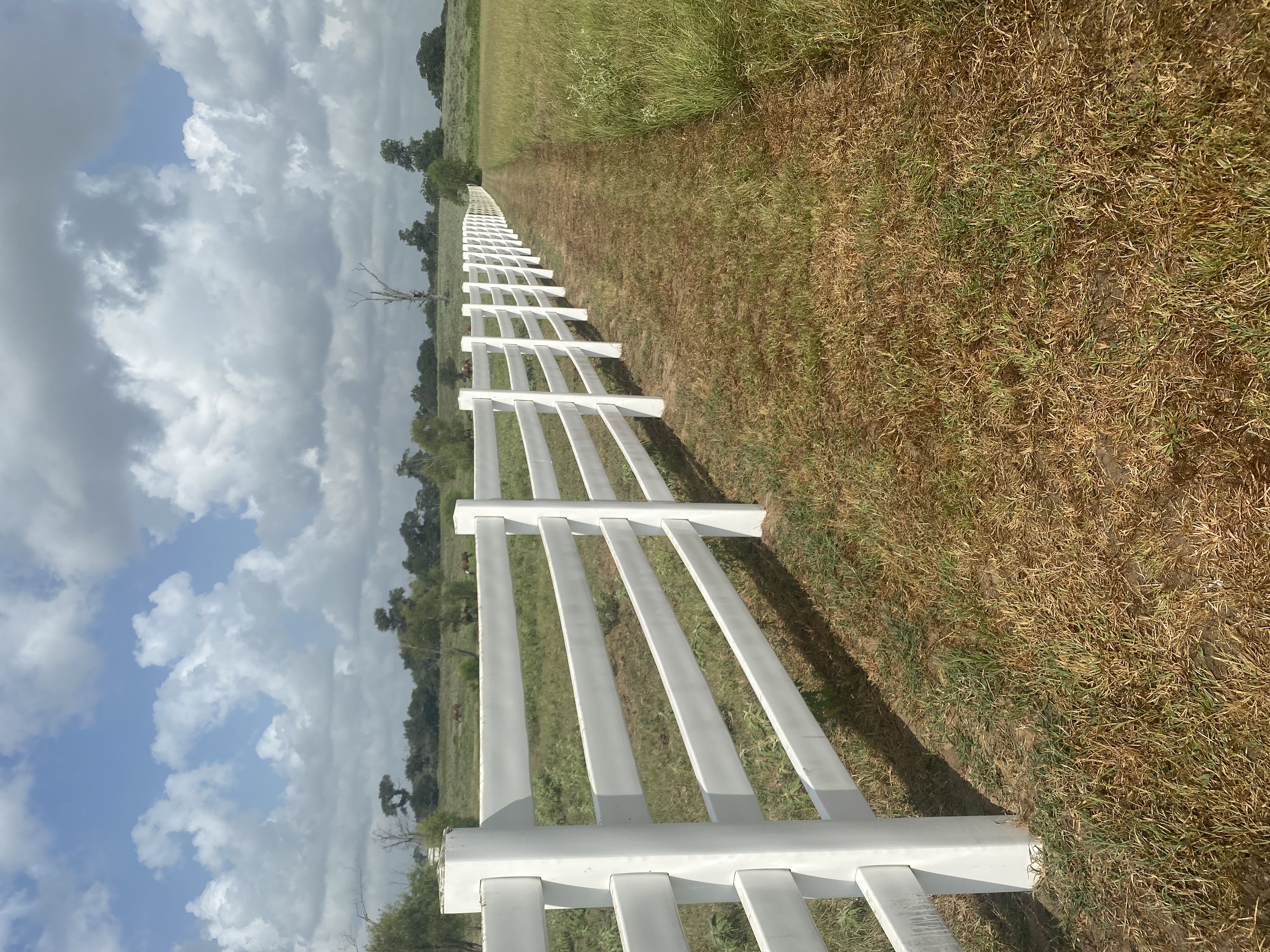 Fence Washing